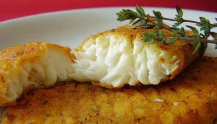 Лучшие рецепты из толстолобика: приготовление блюд рыбы