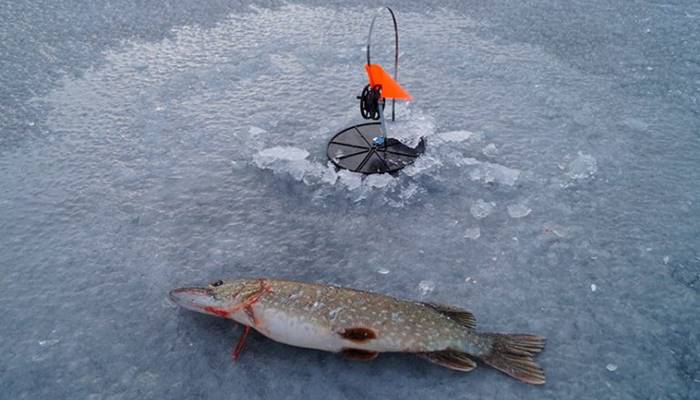 поплавочная рыбалка на льду